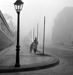 undr:  Francésc Catalá Roca Madrid 1956 