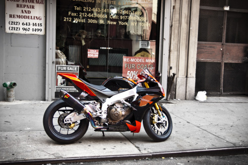 nemoi:  Aprilia RSV4 Factory (via angad84)