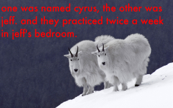 mountain goats singing the mountain goats
