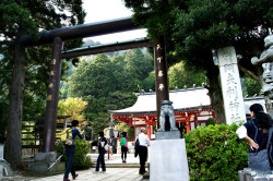 katary:  大山阿夫利神社続き 