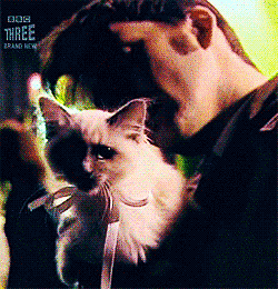  skindeap:  rose-tyl3r:  I have needed this my whole life. *dies*  I…can’t  