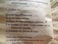 re-mar-amar:  Fernando Pessoa.        