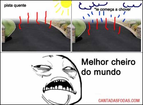 Puta que pariu, Gomes!