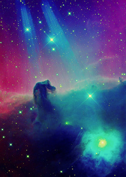 weareallstarstuff:  Horsehead Nebula 