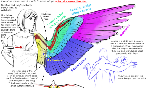 mpreg-isnt-an-emotion-manichu:  sarkyfancypants:  fy0ra:  swooningsenorita:  turntechlongbottom:  drawing wings on humanoids tutorial seriously the best goddamn tutorial i’ve EVER FOUND goddamn thought maybe my good omens bros would appreciate it? THE