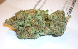 im-bam:  Island Sweet Skunk 