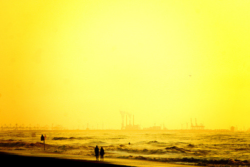 coralite: Zuiderstrand, The Hague (by marie-ll)