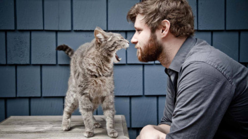 Dan Mangan and a kitty.
You’re welcome.