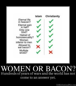 funny-pictures-uk:  Multiple wives or bacon?