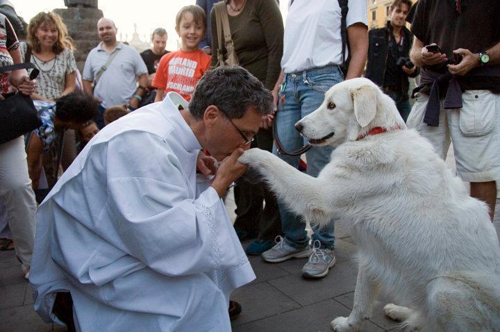 essetumblrmedeucancer:  No dia de São Francisco um padre italiano comoveu o mundo