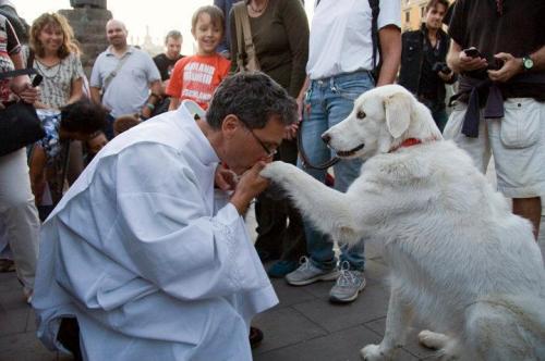 essetumblrmedeucancer:  No dia de São Francisco um padre italiano comoveu o mundo com este gesto  simbólico. Pobre de espírito aquele que vê os animais como inferiores e  não dignos de serem amados e respeitados!! 
