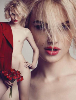 bettydanno:  Andrej Pejic for Tiago Molinos