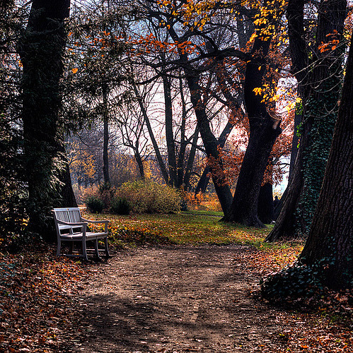 Im Park | Schlosspark Charlottenburg, Berlin, Germany©  lastdaylight