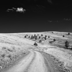 j-appleseed:  National Bison Range on the