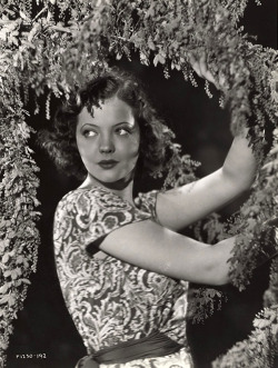  Sylvia Sidney 