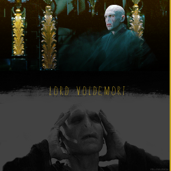 Chamberofweasleys-Blog:  Harry Potter Alphabet Ϟ → V Of (Lord) Voldemort “But