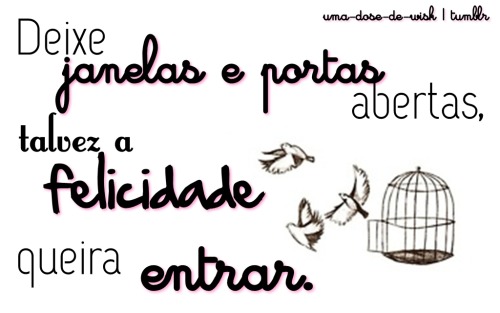 Ideias Transitórias