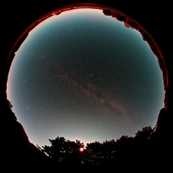 cwnl:  Fisheye Lens Shows Draconid Meteors