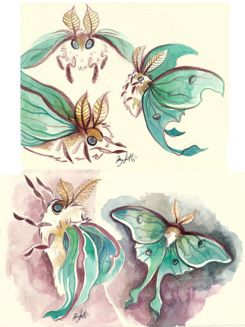 kayliesaurusrex:cryptovolans:here are some luna moths that I painted last night… because children’s 