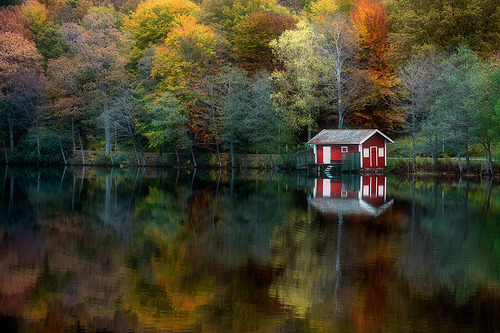 Autumn reflection | Floda, Vastra Gotaland, Sweden© mackelundberg