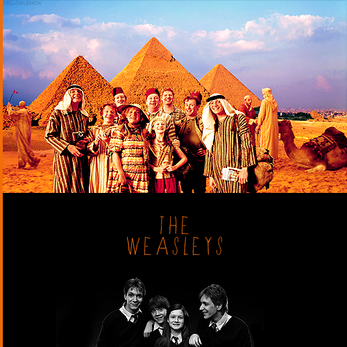  HARRY POTTER ALPHABET ϟ  → W of (the) Weasleys“All the Weasleys have red hair,