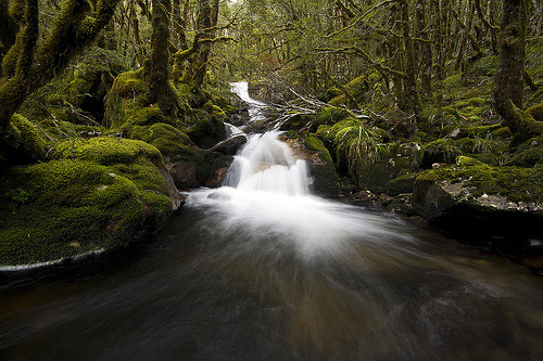 Rahu River 4 (von franciscarmine)