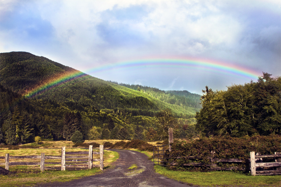 Olympic Rainbow - From the day we went to Olympic National Forest/ the Hoh rainforest.
