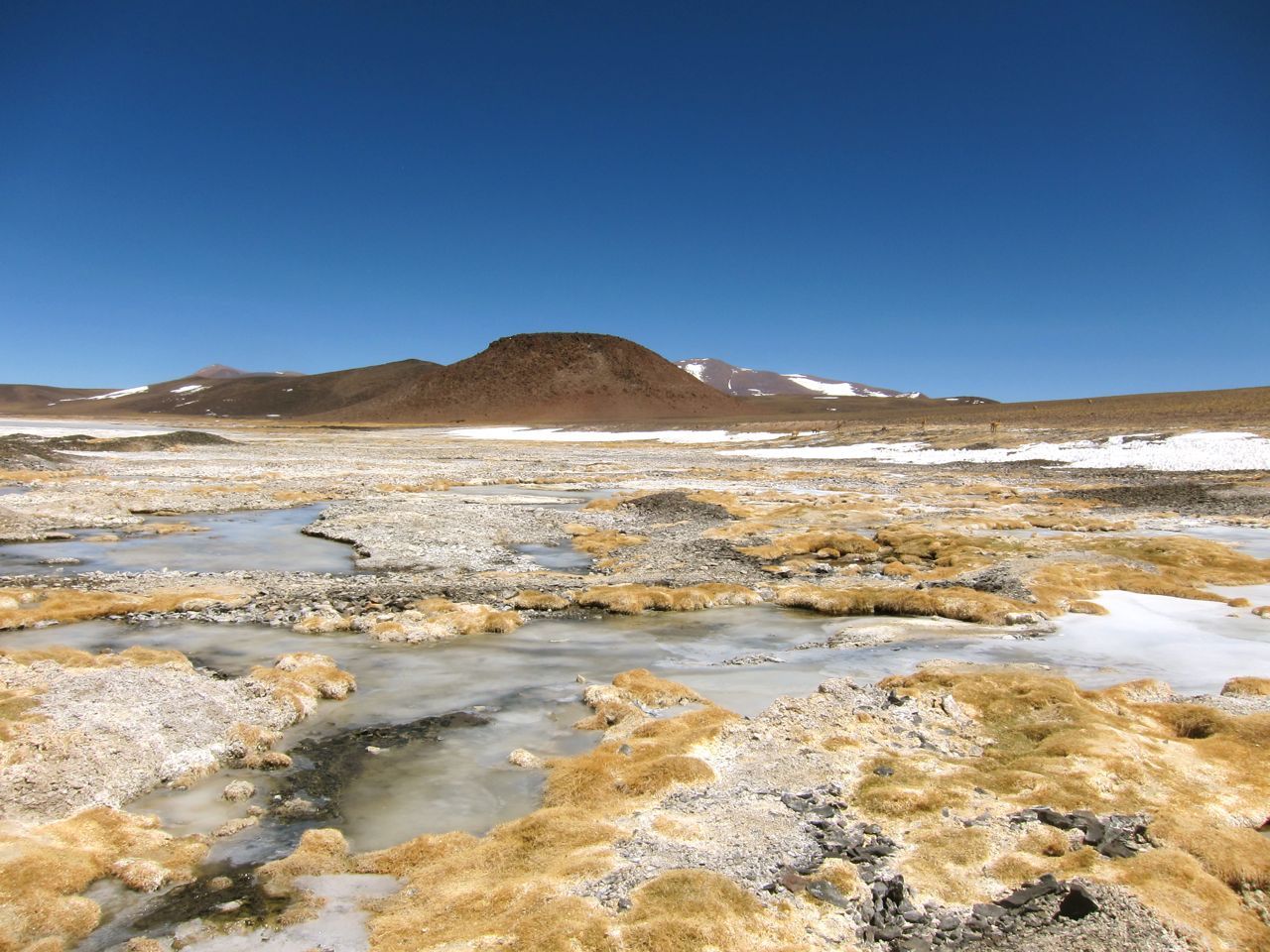 portenos:  Cuyo (3) : la Laguna Brava. Rien que la route qui y mène est un enchantement :