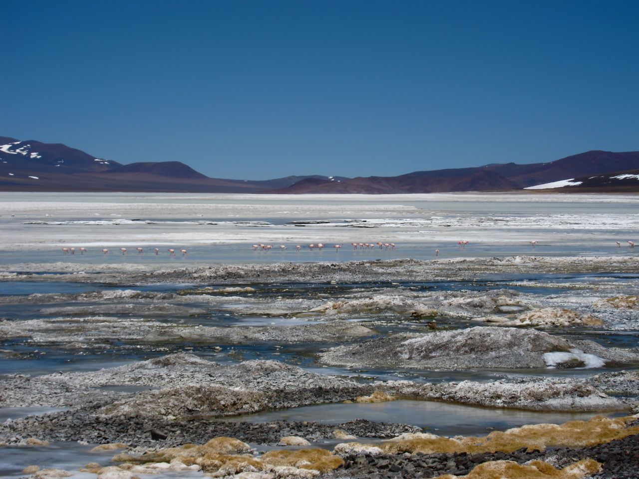 portenos:  Cuyo (3) : la Laguna Brava. Rien que la route qui y mène est un enchantement :