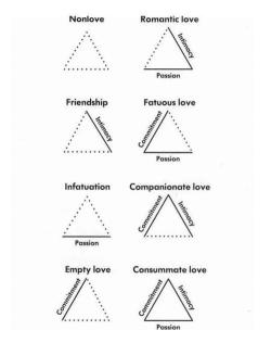 lovesexandhumor:  nonethericher:  Reblogging because this is Sternberg’s triangular theory of love. He also had a triarchic theory of intelligence. Dude liked triangles.  
