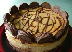 thecakebar:  Peanut butter cup brownie bottom cheesecake! Recipe: FOR BROWNIE CRUST  6 Tablespoons Unsalted Butter, melted 1-¼ cup Sugar 1 Tablespoon Vanilla Extract (I Used Madagascar Bourbon Vanilla) 2 whole Eggs 1 cup Flour 2 Tablespoons Flour