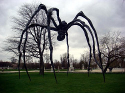 cassket:  Spiders of Louise Bourgeois by