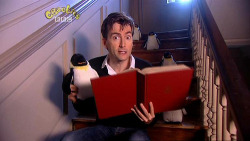 cumber-kitty:  sibiholmes:  david-tennant-doing-things:  David Tennant reading a book with a penguin.  Omg there are more penguins behind him.  don’t blink 