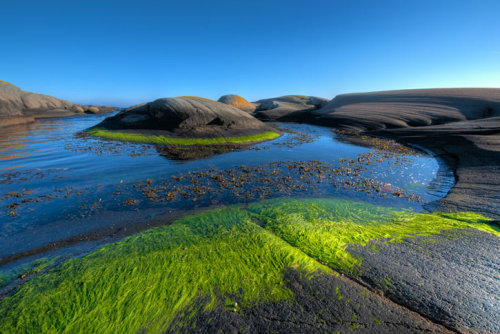 llbwwb:  Circle of Green (via Beautiful Photography by Hogne | Smashing Picture)