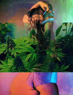xxx tumblr