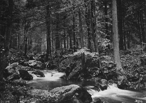 theevildead-:  Ernst Kliche 
