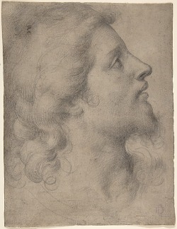 artemisdreaming:  Head of a Bearded, Young Man in Profile Facing Right Bronzino (Agnolo di Cosimo di Mariano)  (Italian, Monticelli 1503–1572 Florence) 1545–55Black chalk on light brown paper8 1/4 x 6 1/4 in. (21 x 15.8 cm) Harry G. Sperling Fund,