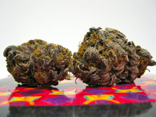 Things Stoners Like