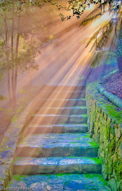 bluepueblo:  Ray of light, Canberra, Australia photo via besttravelphotos 