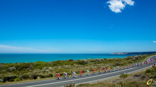 pedalfar: Cycling Tips - Jayco Herald Sun Tour Stage 3