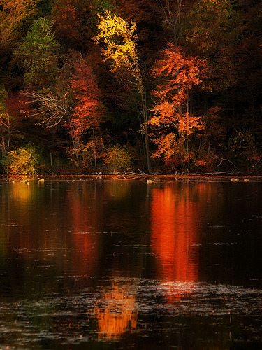 lori-rocks: Autumn reflections  by ml5468