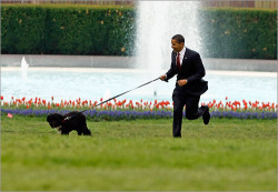 hanukahharrysnaughtylist:  sheercalculatedsilliness:  We interrupt this crap for a cute picture of a president and his dog.  this tickles my fancy  