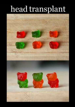 sleepless-nekko: thekillersofficial:  This is sick you’re a sick sick man  i am soooooooooo getting a bag of gummy bears…. 