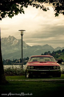 musclecardreaming:  Challenger