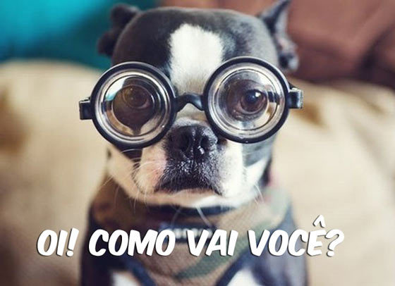 Rock & Humor