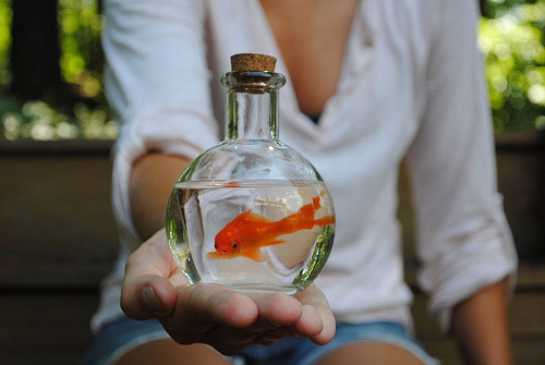 mariahidk:  am i the only one wondering how the heck she put the fish in there? it looks to fat to f