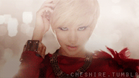 molotovcat:  Girls Generation make ‘em feel the heat. 
