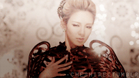 molotovcat:  Girls Generation make ‘em feel the heat. 