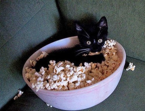 @AdorableBipolar catasters:  I want to see The Lion King 3D, please… 