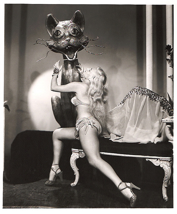 burleskateer:Lavender    ..and her Purple Cat!